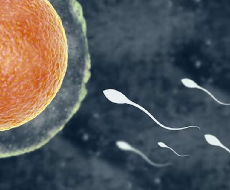 Low Sperm Count Worry: Demystifying Male fertility Options