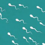 Next Steps After a Semen Analysis: What to Expect?
