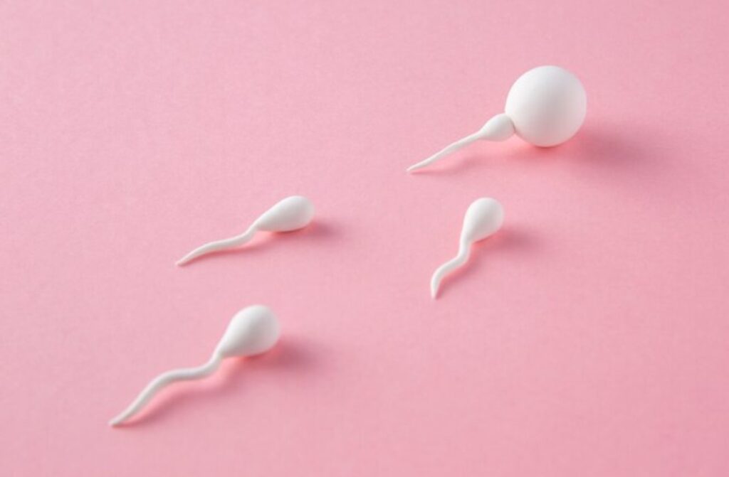 Understand, Treat Low Sperm Count and Poor Sperm Quality
