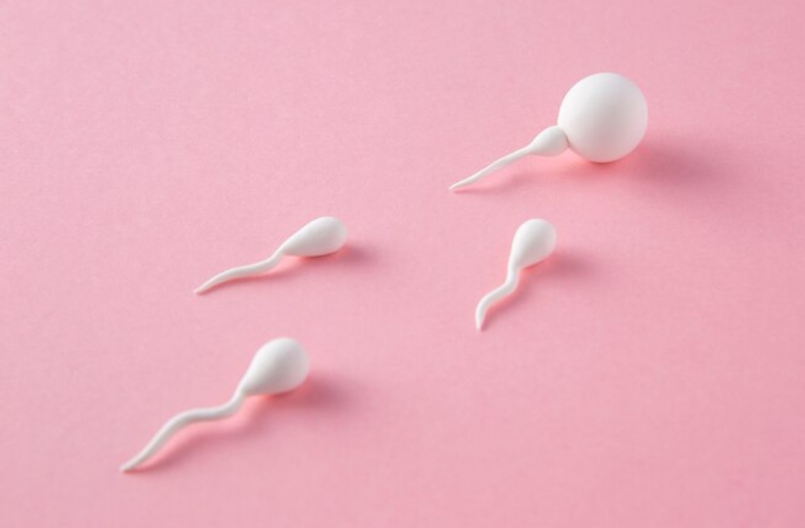 Understand, Treat Low Sperm Count and Poor Sperm Quality