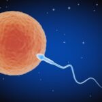 What are sperm cramps? Causes, Symptoms, and Treatment