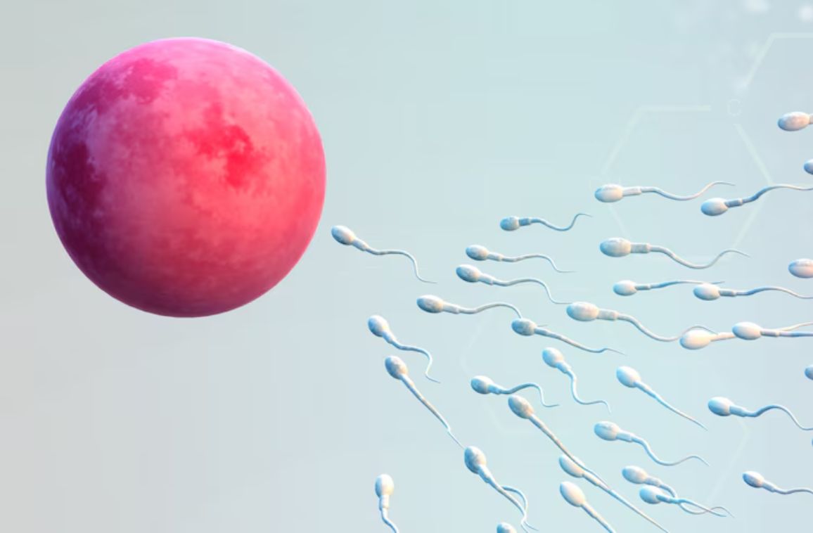 What are sperm cramps? Causes, Symptoms, and Treatment